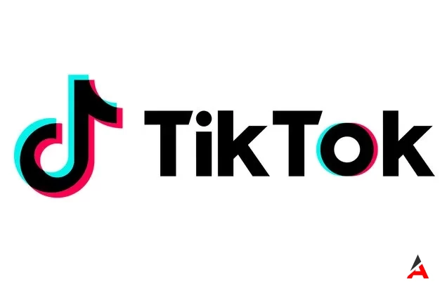 Direniyorum Acılarına Yine Dünya Tiktok Akımı Nedir 2