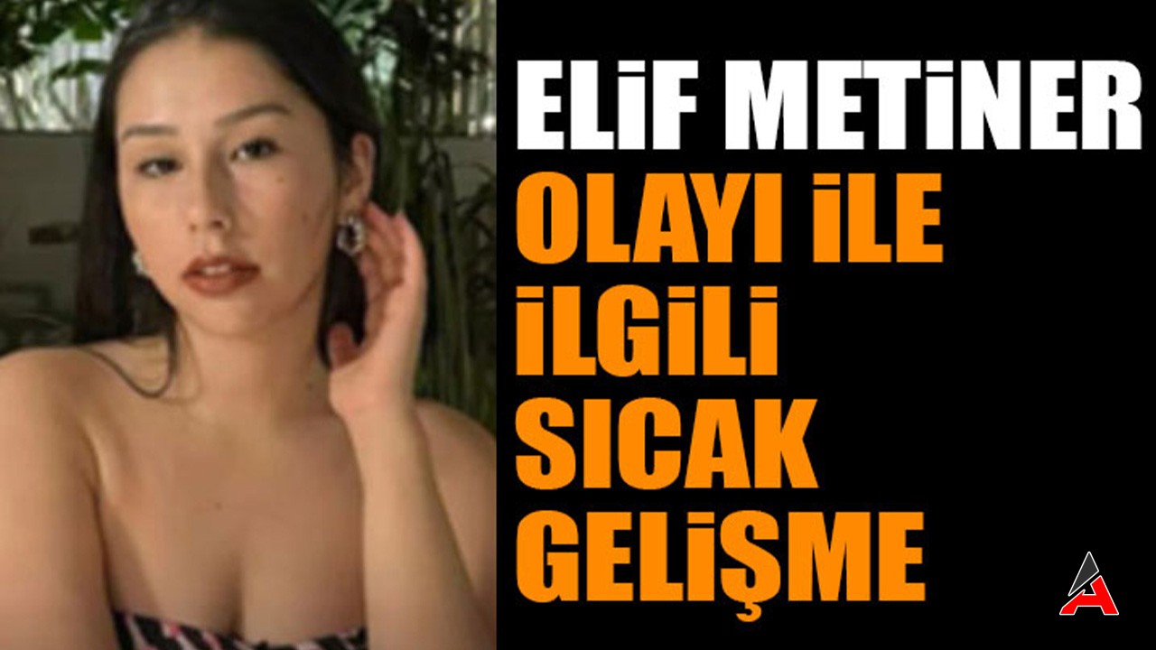 Elif Metiner Kimdir