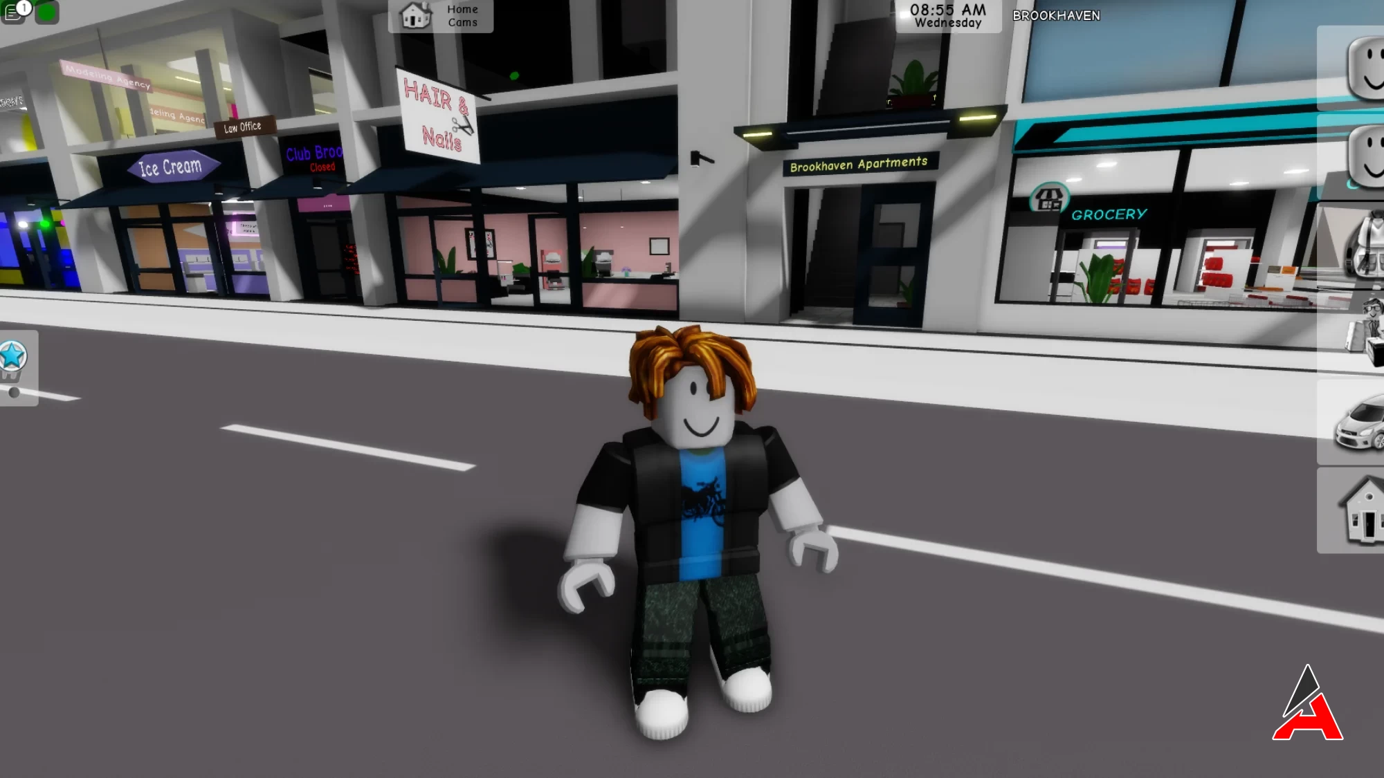 Roblox Neden Açılmıyor