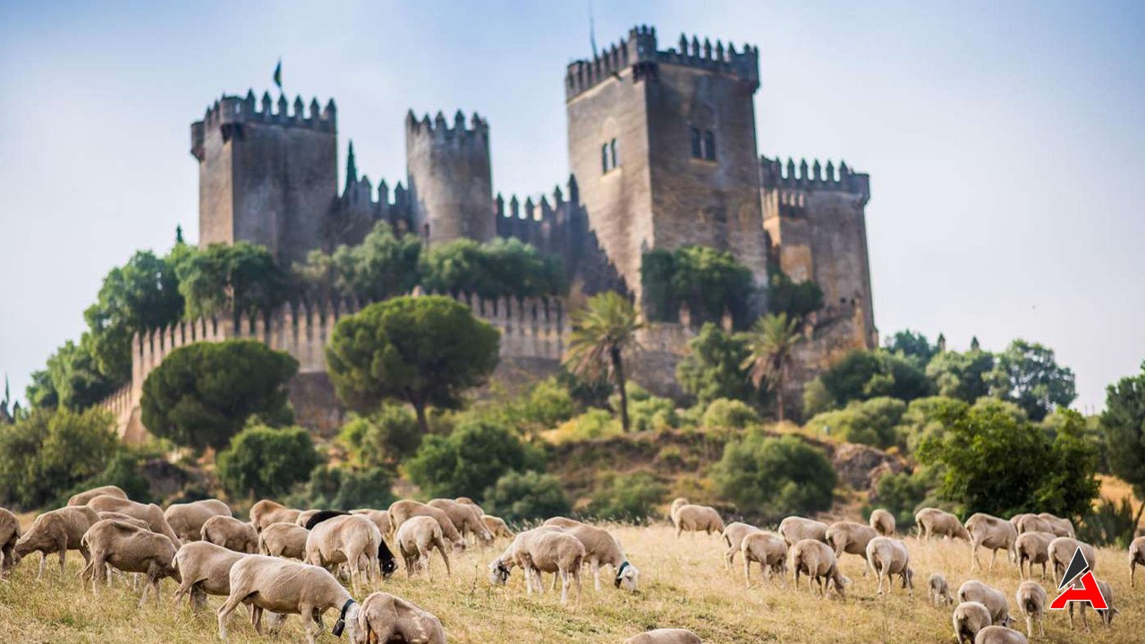 Yüksek Bahçe – Castillo De Almodóvar Del Río, İspanya